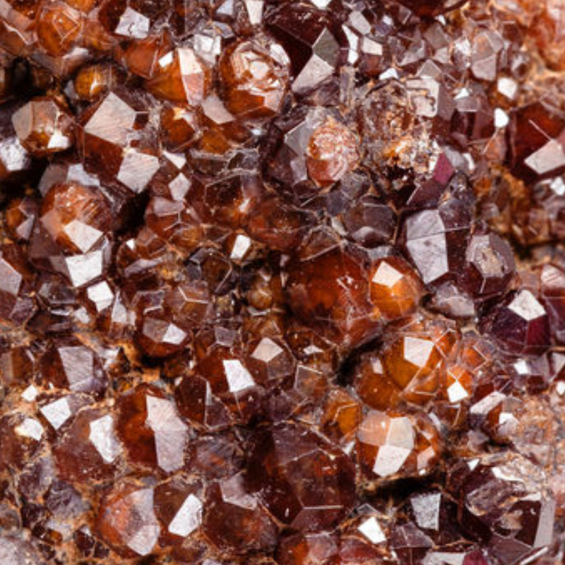 Garnet. January birthstone.